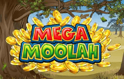 Mega Moolah